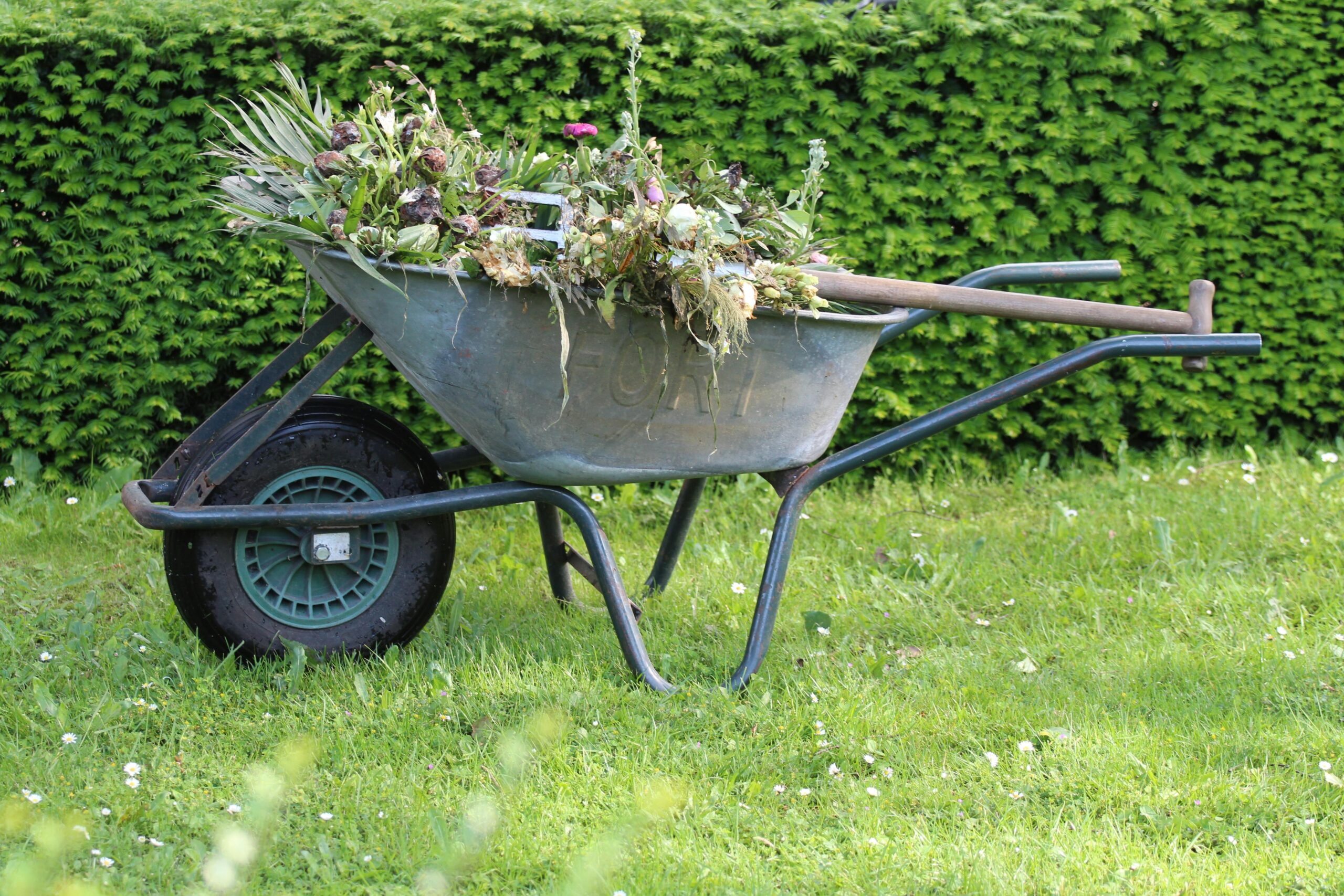 Lenteklaar maken tuin Noord-Nederland
